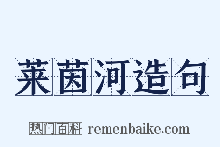 莱茵河造句是什么意思的图片
